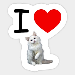 I HEART WHITE FLUFFY PERSIAN KITTEN Sticker